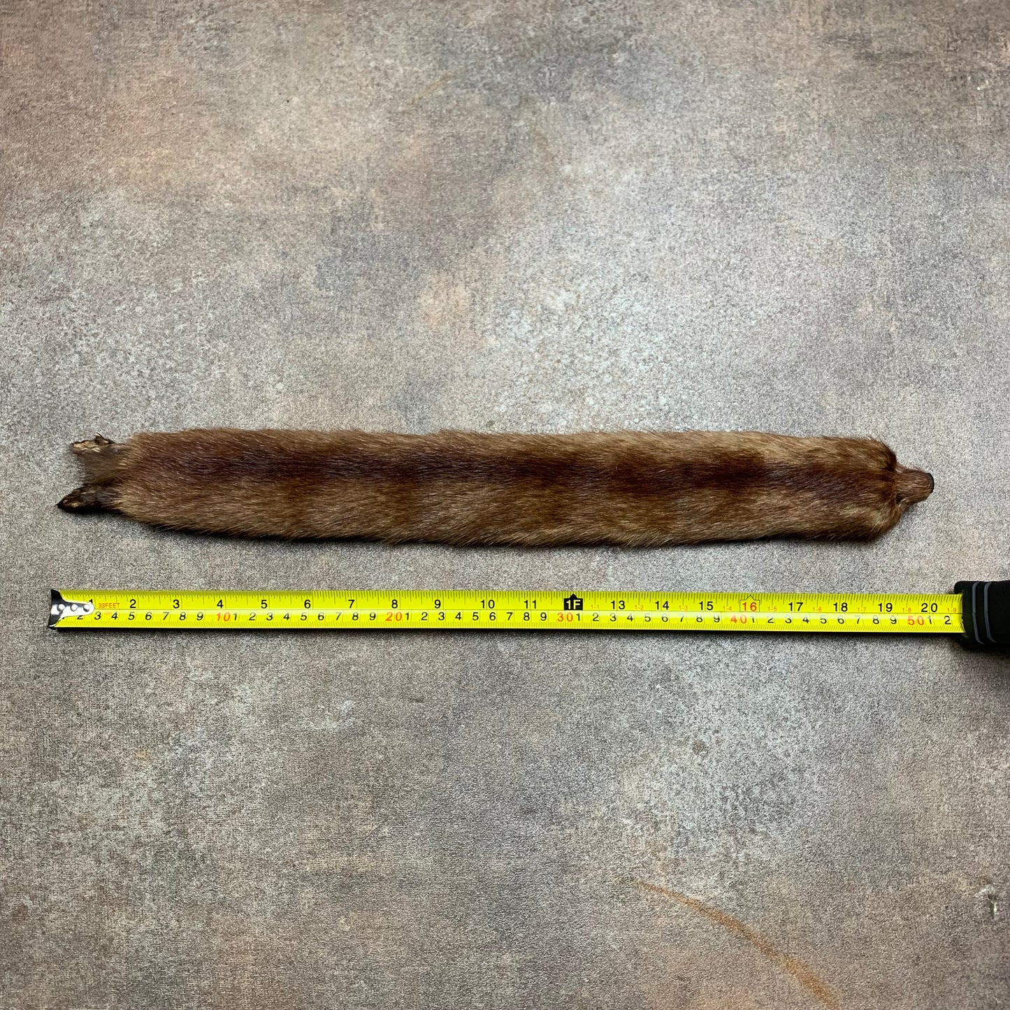 Taxidermy brown mink scarf