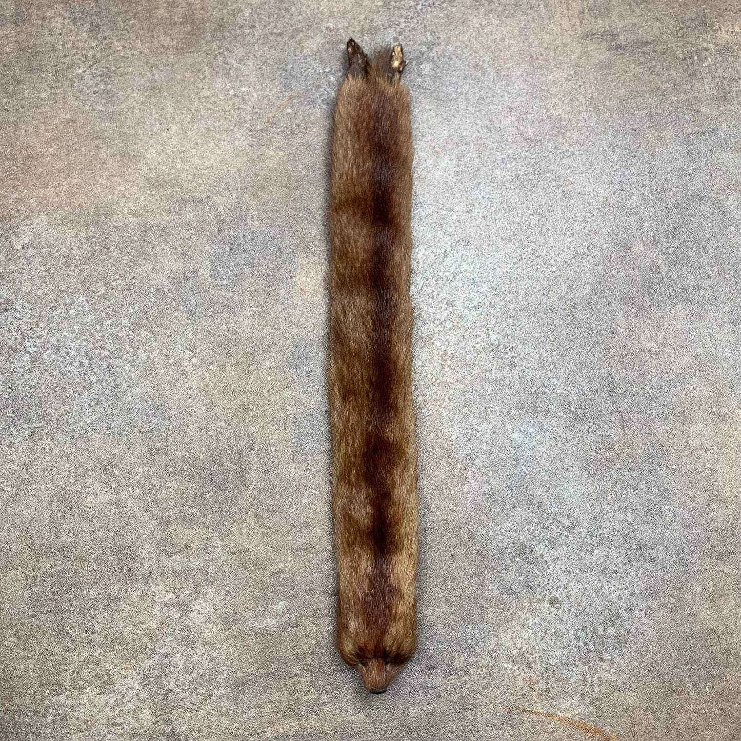 Taxidermy brown mink scarf