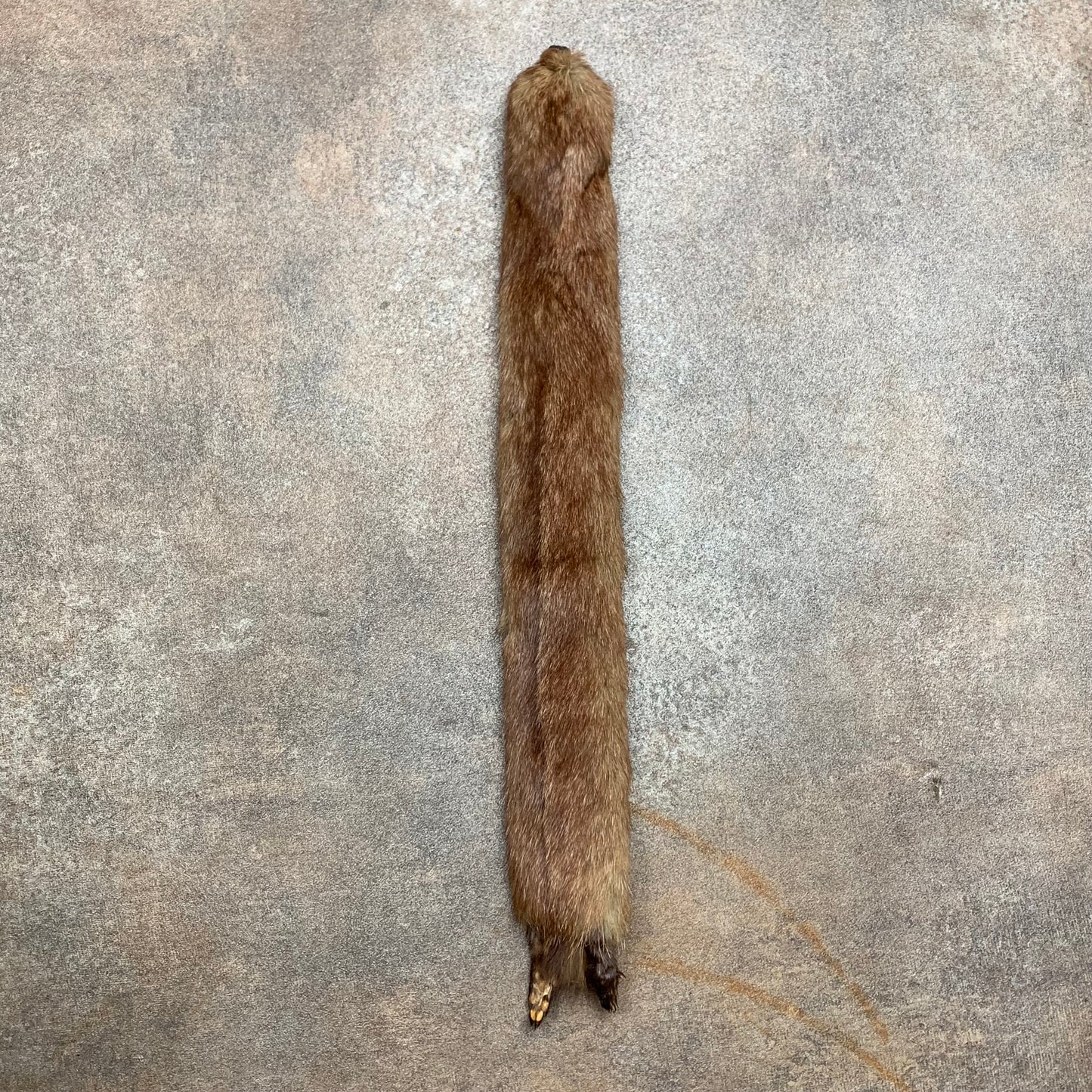 Taxidermy brown mink scarf