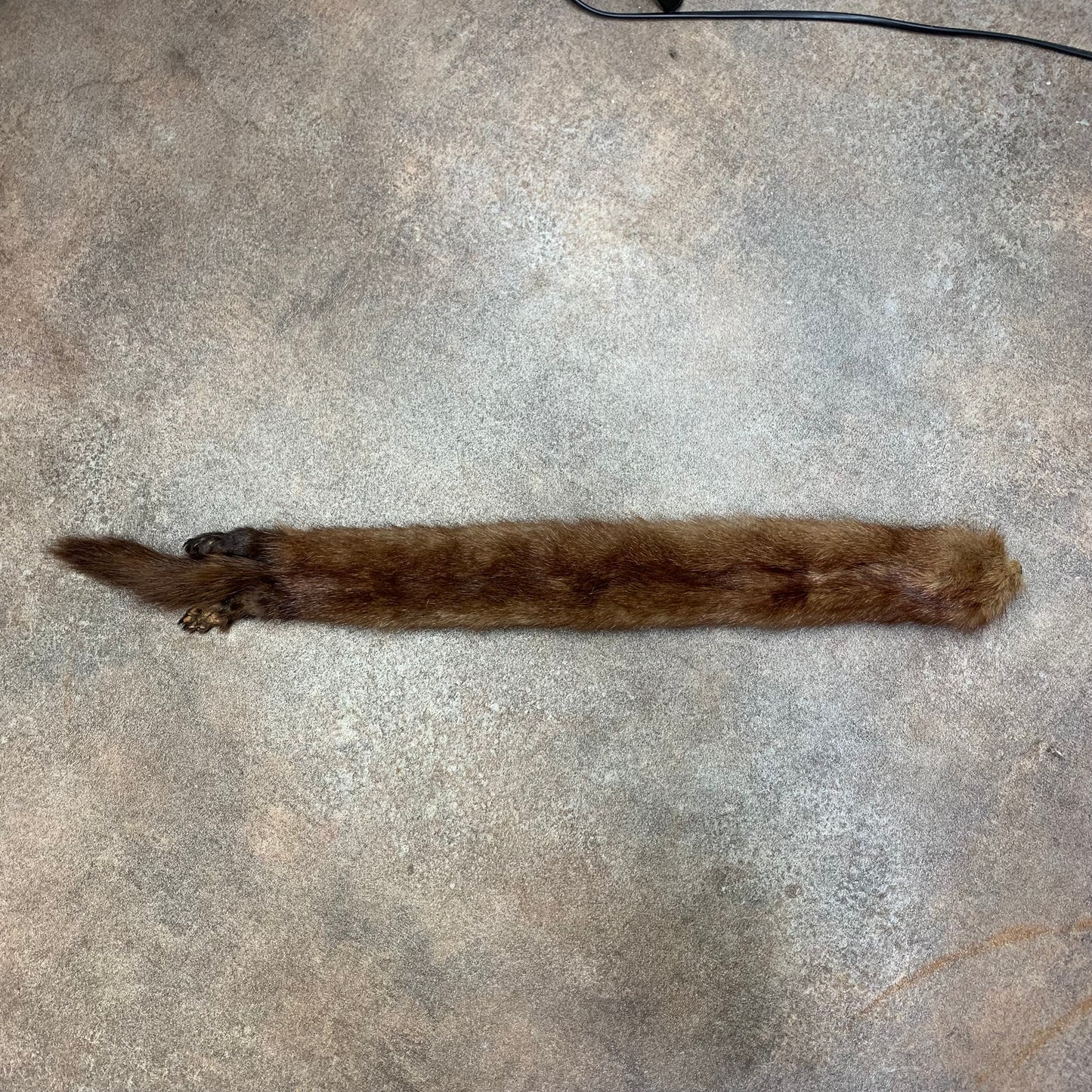 Taxidermy brown mink scarf