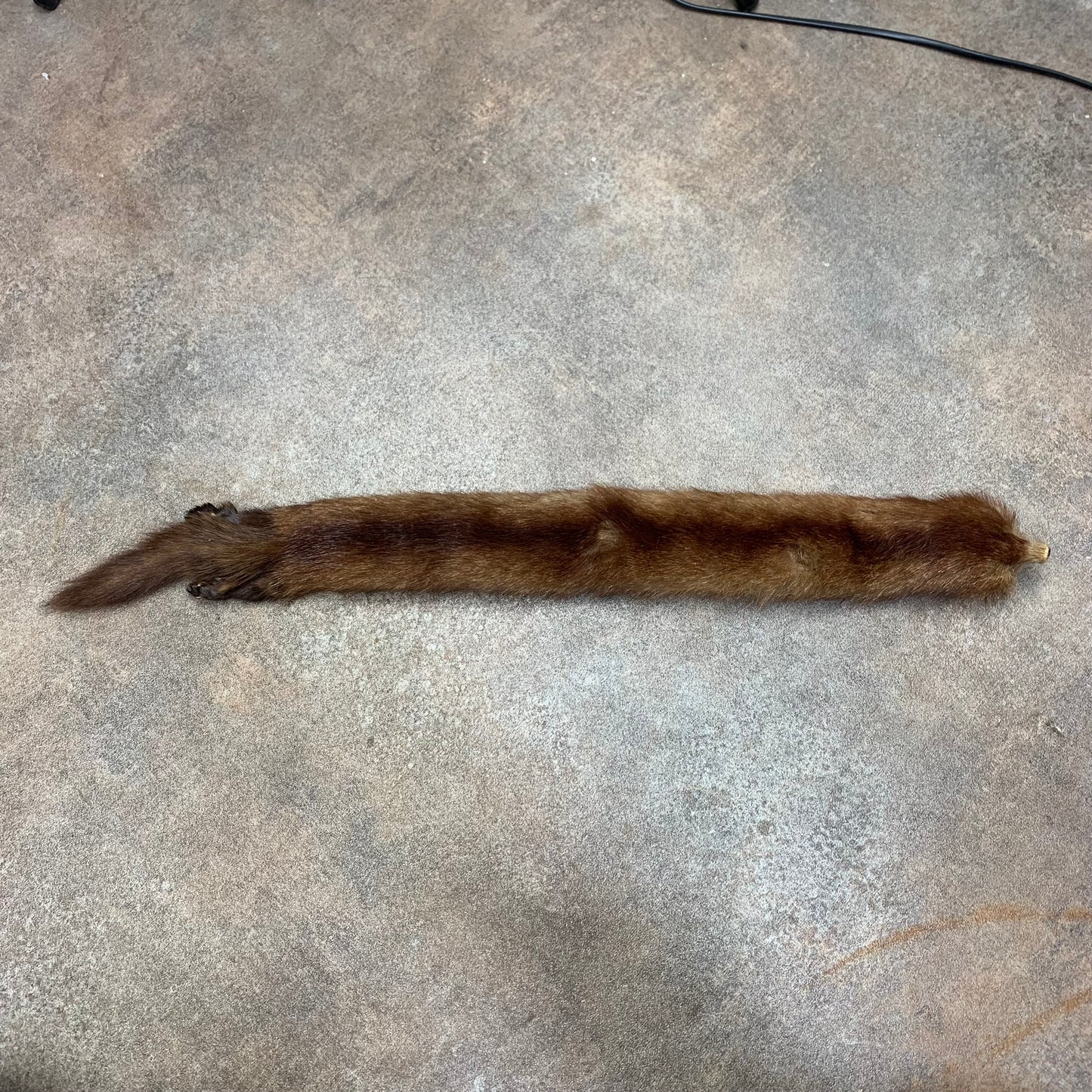 Taxidermy brown mink scarf