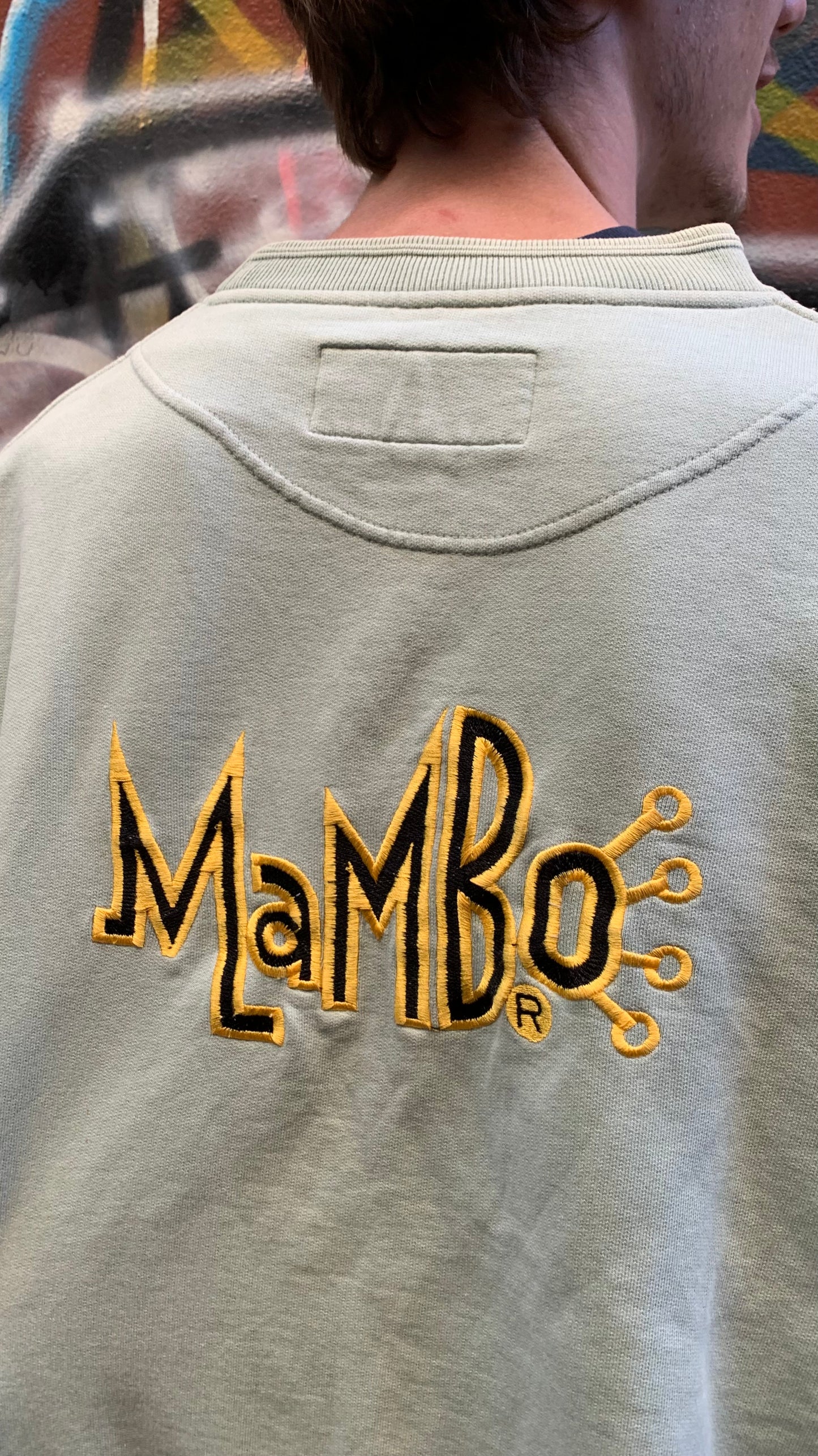Mambo 90s mint green graphic boxy sweatshirt
