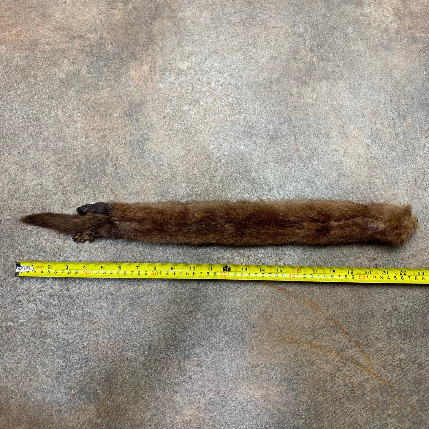 Taxidermy brown mink scarf