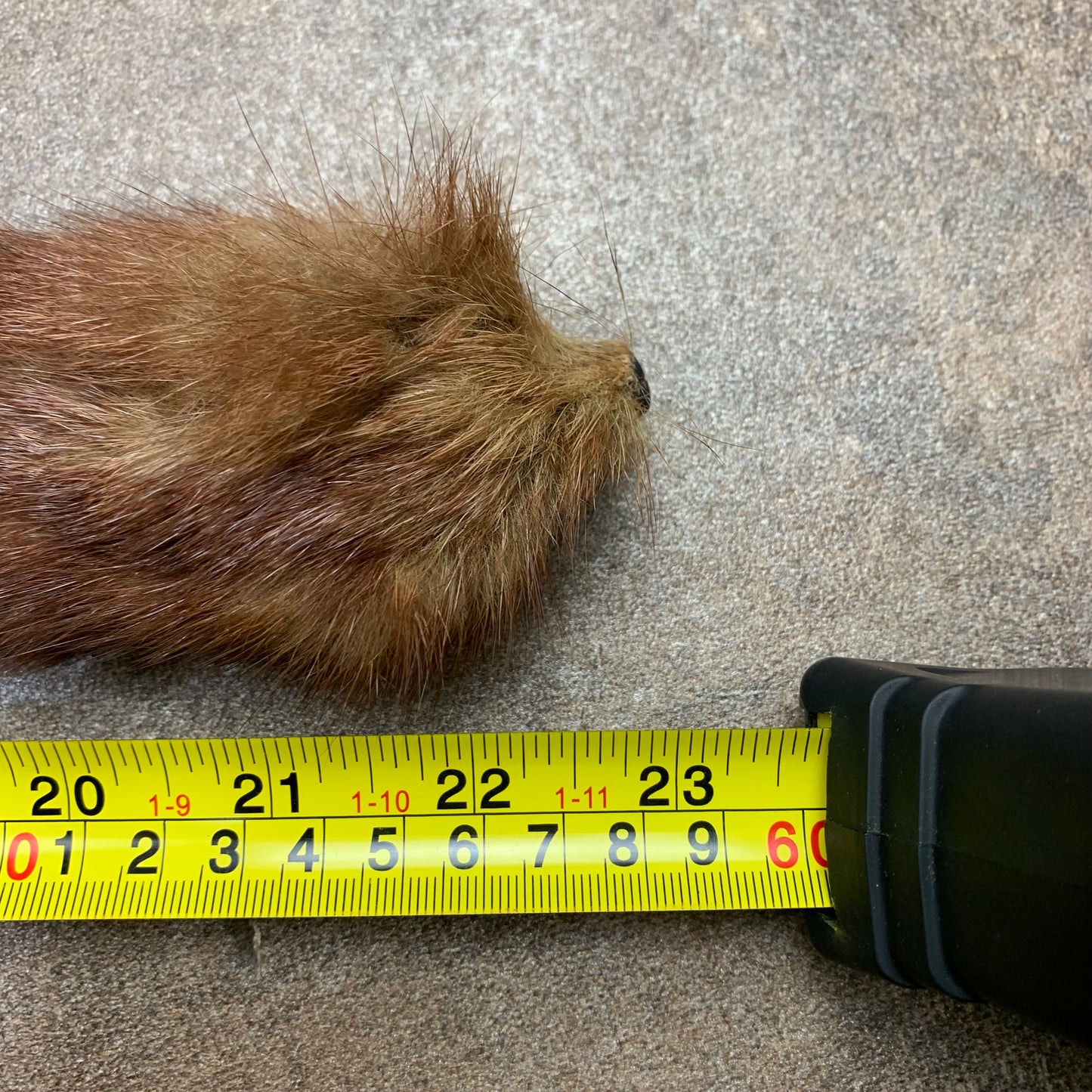 Taxidermy brown mink scarf
