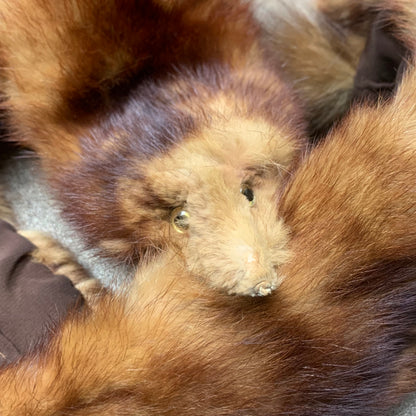 Brown Mink taxidermy scarf