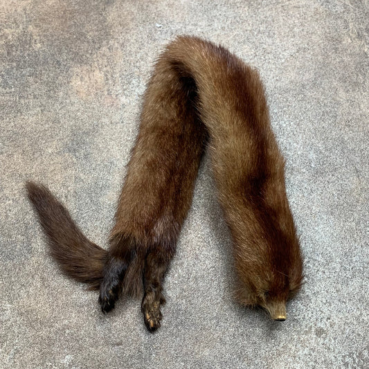 Taxidermy brown mink scarf