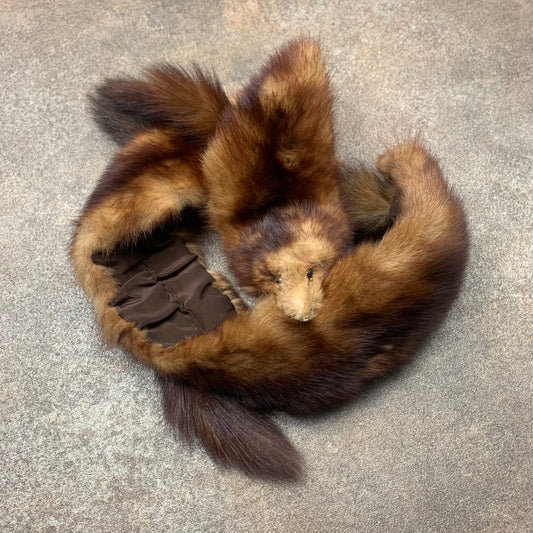 Brown Mink taxidermy scarf