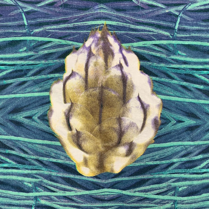 Oxbow 1993 graphic Hawaiian shirt (L)