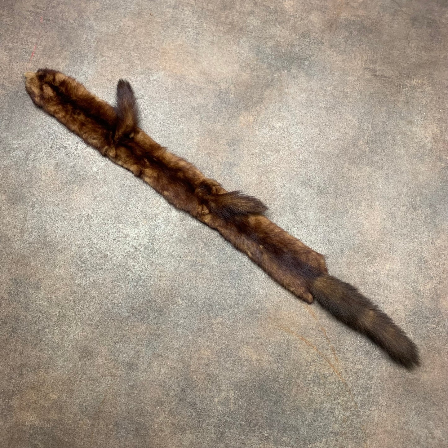 Brown Mink taxidermy scarf