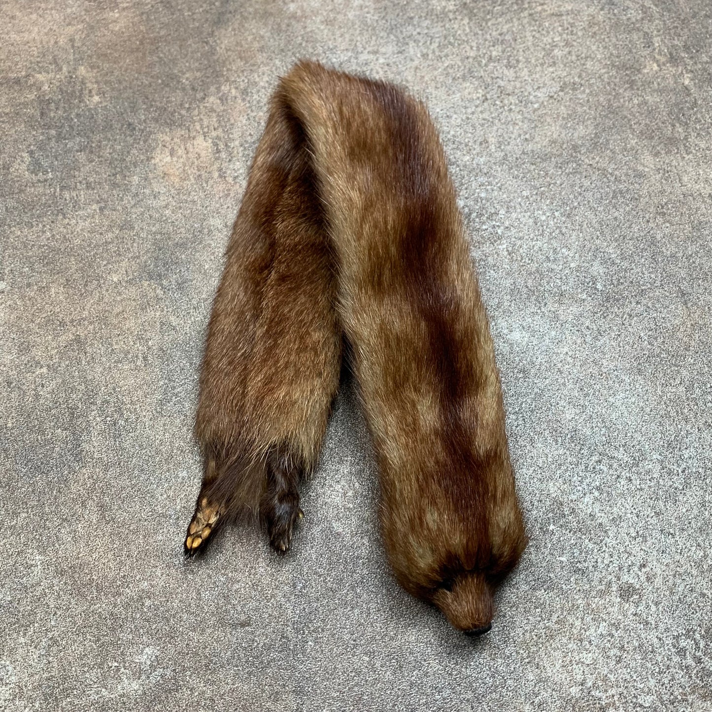 Taxidermy brown mink scarf